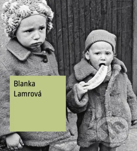 Blanka Lamrová - Štěpánka Bieleszová - kniha z kategorie Fotografie