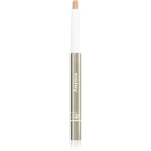 Sisley Stylo Correct pečující korektor s vysokým krytím odstín N°1 1.7 g