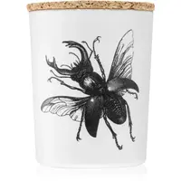 Vila Hermanos Insect Lucanus Cervus vonná svíčka 75 g