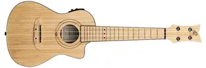 Ortega RUNAB-CC