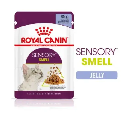 Royal Canin Sensory Smell- vlhké krmivo v želé pre dospelé mačky 12 x 85 g