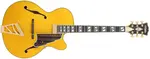 D'Angelico Excel 16 Amber