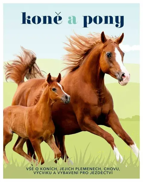 Koně a pony - Caroline Stamps