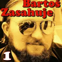 Kapitán Bartoš Zasahuje 1 - Hana Militká - e-kniha