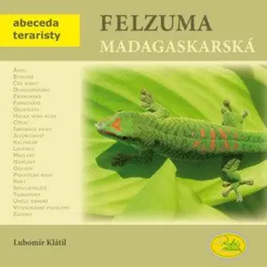 Felsuma madagaskarská - Abeceda teraristy - Lubomír Klátil
