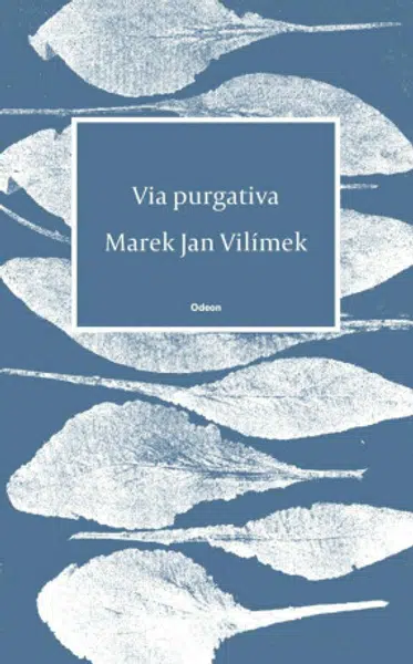 Via purgativa - Vilímek Marek Jan