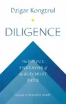 Diligence - Dzigar Kongtrül, Jennifer Shippee