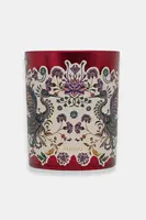 Vonná sójová sviečka Medicine