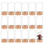 30Pcs Glass Dome Cloche Cover