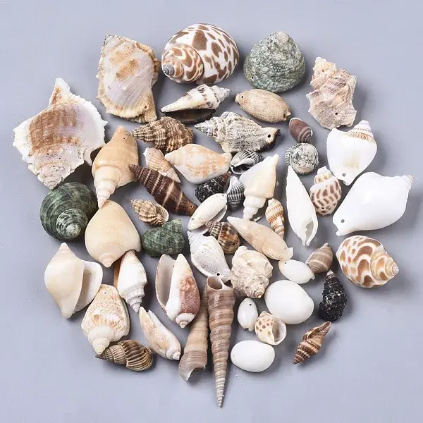 Natural Spiral Shell Pendants