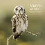 British Wildlife Photography Awards 9 - Maggie Gowan