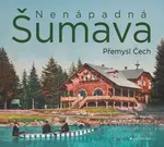 Nenápadná Šumava (poškozená) - Přemysl Čech