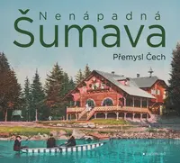 Nenápadná Šumava (poškozená) - Přemysl Čech
