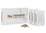 FEMINUS harmonie, vášeň, vitalita 60 tablet