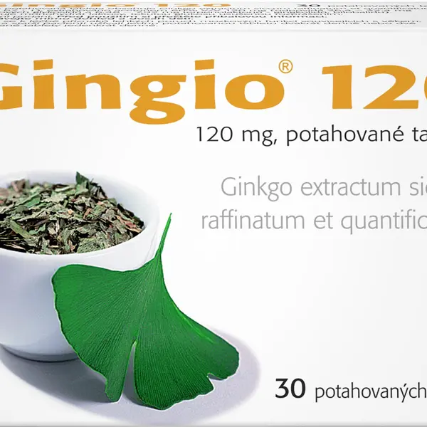 GINGIO 120 mg, 30 tablet