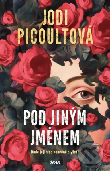 Pod jiným jménem - Jodi Picoult - kniha z kategorie Společenská beletrie