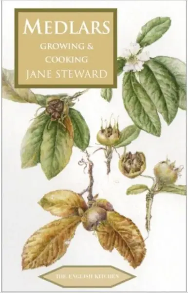 Medlars - Jane Steward