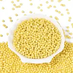 Baking Paint Pearlized Glass Seed Beads