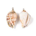 Natural Sea Shell Pendants