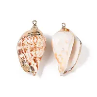 Natural Sea Shell Pendants