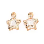 Rack Plating Eco-Friendly Iron Charms