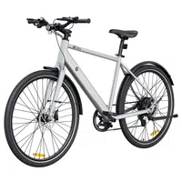 DYU Stroll 1 Electric Bike 250W 36V 9Ah Silver