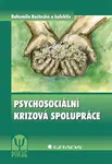Psychosociální krizová spolupráce, Baštecká Bohumila