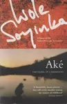 Ake: The Years of Childhood - Wole Soyinda