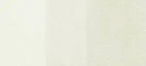 Copic sketch marker - W0 warm gray