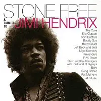 Various  Artists – Stone Free: A Tribute to Jimi Hendrix LP
