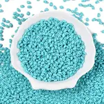Baking Paint Glass Seed Beads