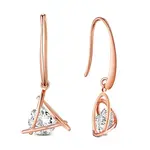 Brass Dangle Earrings
