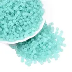 FGB Frosted Transparent Glass Seed Beads
