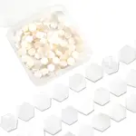 2 Strands Natural Freshwater Shell Beads Strands
