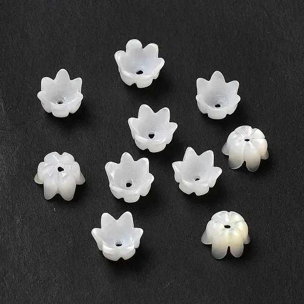 Natural Freshwater Shell Bead Caps