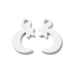 Spray Painted 201 Stainless Steel Charms