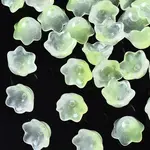Transparent Two Tone Spray Painted Glass Beads