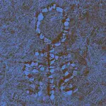 The Sculptures – Break Heart in Two