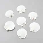 Natural Scallop Shell DIY Decorative Craft Material