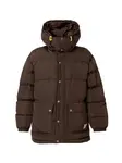 Carhartt WIP Zimná bunda 'Brent'  tmavohnedá