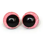 Plastic Safety Craft Eye