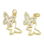Brass Micro Pave Clear Cubic Zirconia Charms