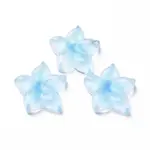 Transparent Epoxy Resin Cabochons