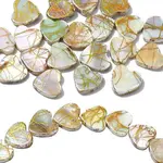 20Pcs Drawbench Style Natural Freshwater Shell Beads