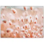 Monee TIŠTĚNÉ OBRAZY NA PLÁTNĚ, krajina a příroda, 60/45 cm