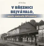 V Březnici bejvávalo, aneb zmizelá Březnice - Jiří Krůta