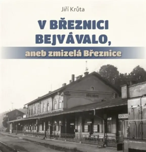 V Březnici bejvávalo, aneb zmizelá Březnice - Jiří Krůta