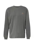 Carhartt WIP Tričko 'Nelson'  tmavosivá