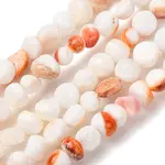 Natural Sea Shell Beads Strands