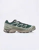 Salomon XT-6 Bistro Green/Greenm/Black 44